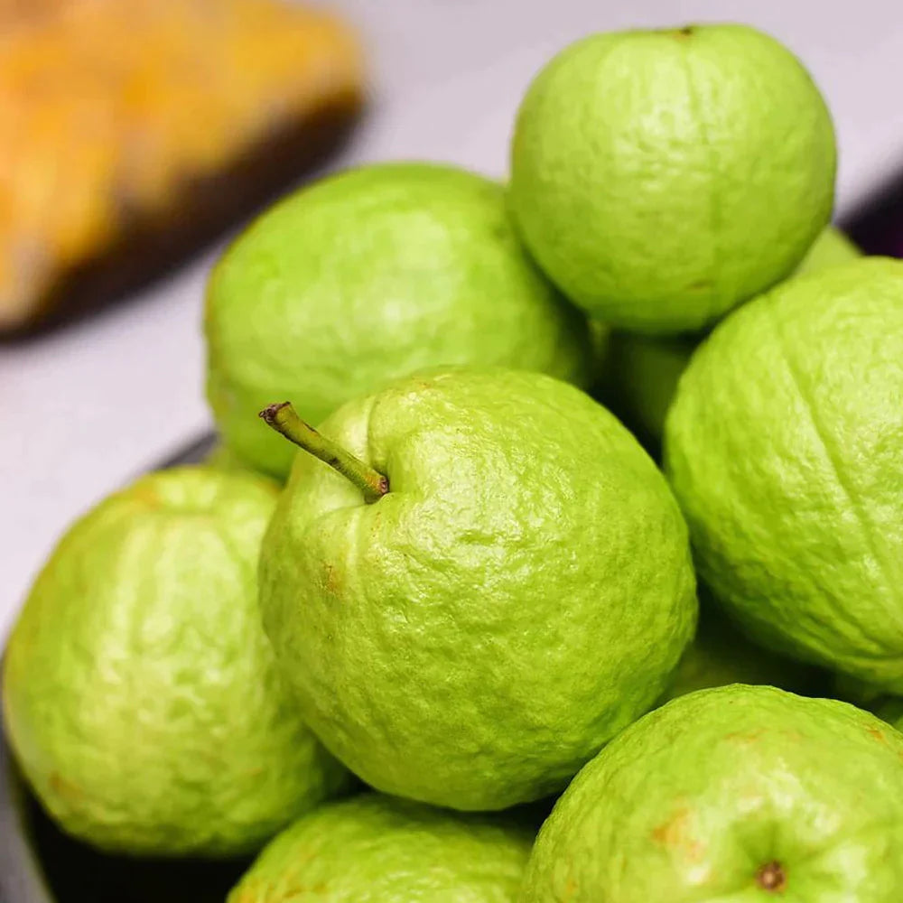 Guava Fruit